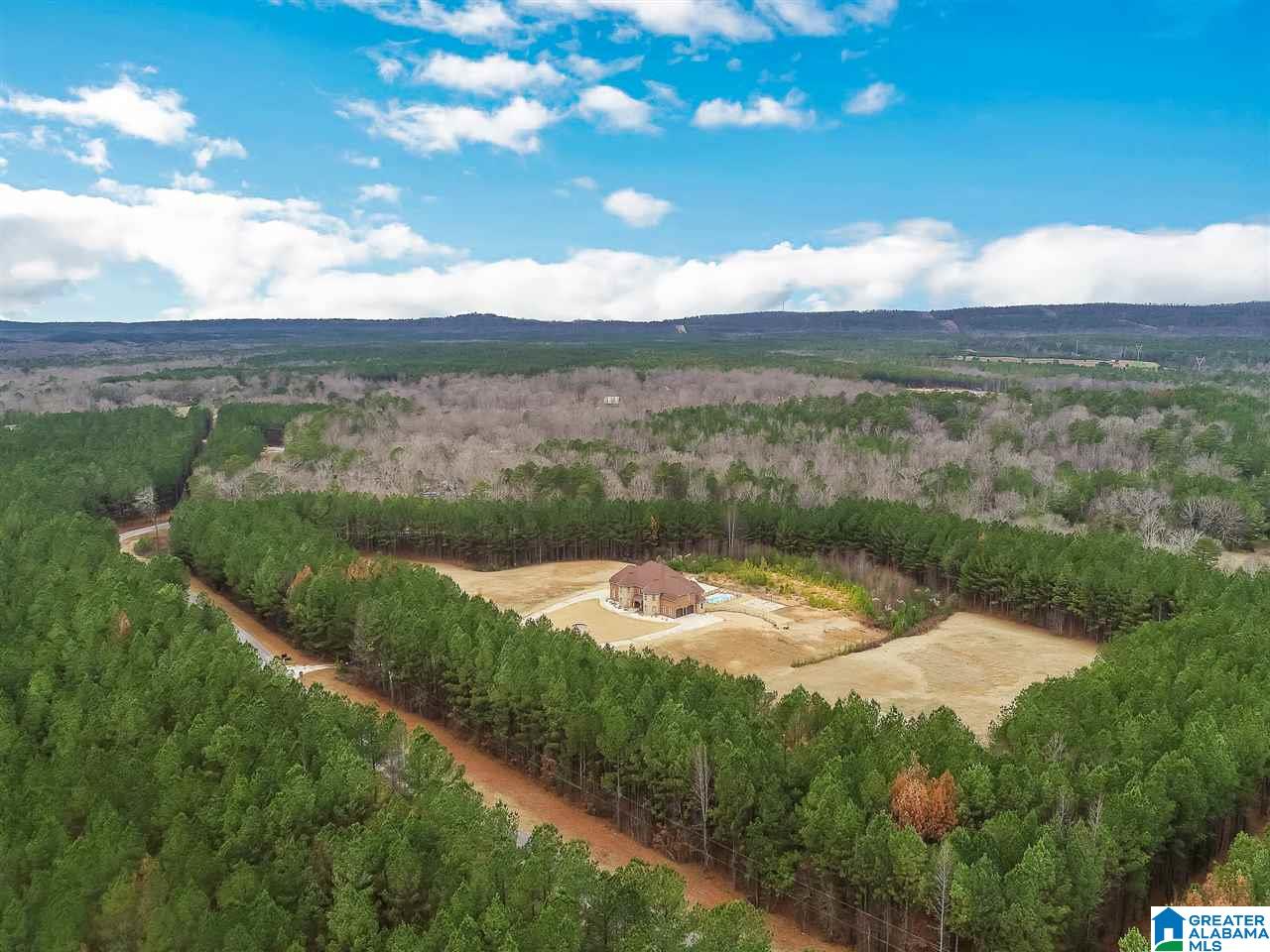 322 Griffin Road Chelsea, AL 35043 - Photo 50 of 50 Gallery Image 50
