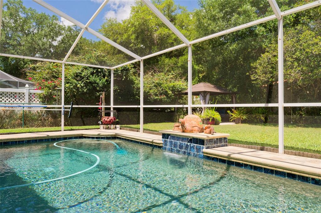 8115 Montock Court Trinity, FL 34655 - Photo 45 of 54