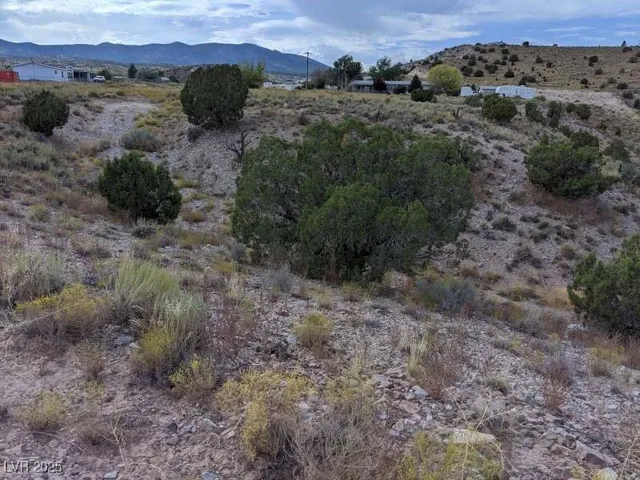 $25,000 | Sharon-apn 13-042-39, Caliente, NV 89008