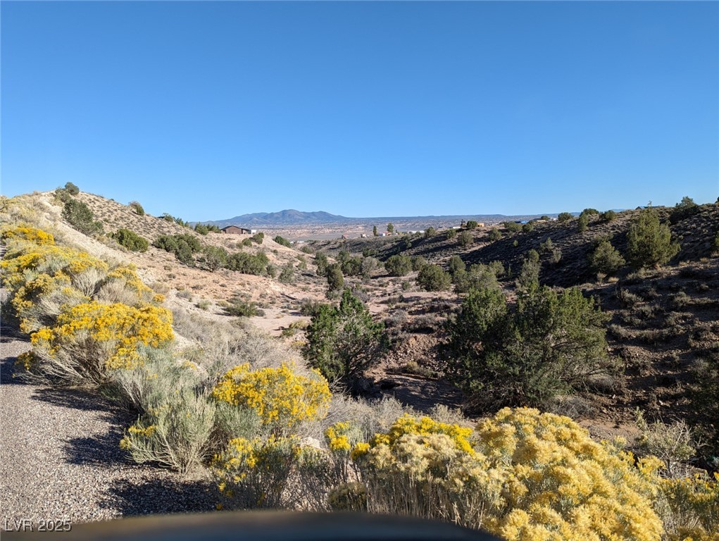 Sharon-apn 13-042-39 Caliente, NV 89008 - Photo 12 of 14