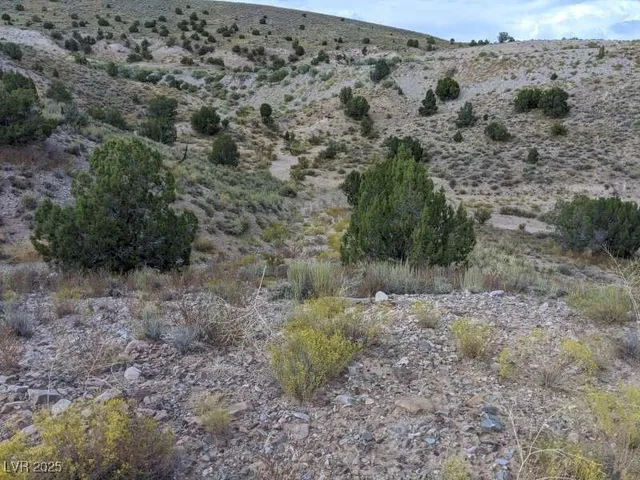 $25,000 | Sharon-apn 13-042-39, Caliente, NV 89008