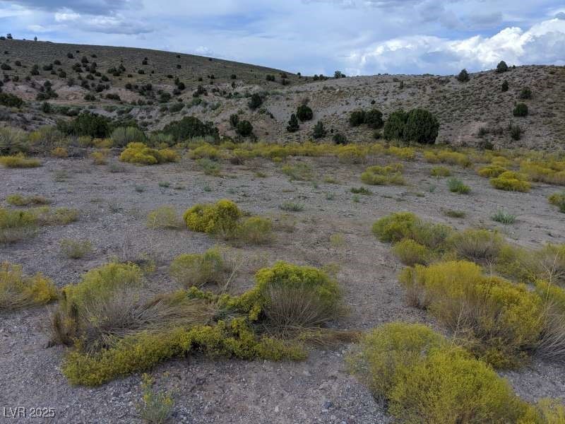 Sharon-apn 13-042-39 Caliente, NV 89008 - Photo 8 of 14