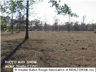 14 Palmer Road Livingston, LA 70754 - Photo 1 of 1 Gallery Image 1