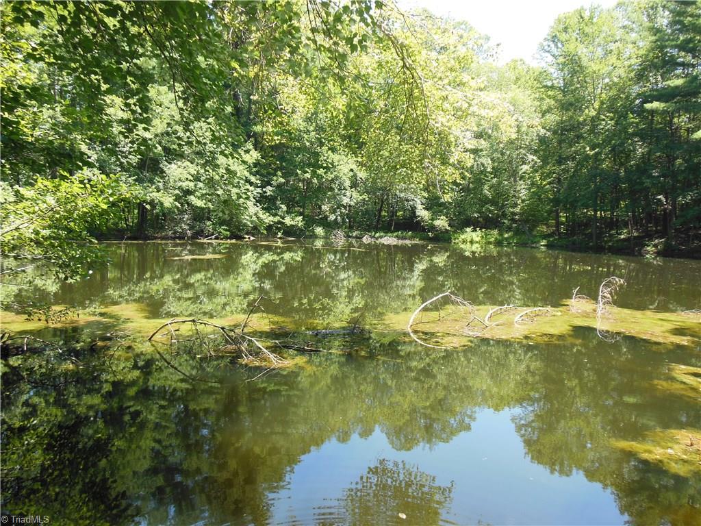 894 Carson Road Pilot Mountain, NC 27041 - Photo 27 of 30 Gallery Image 27