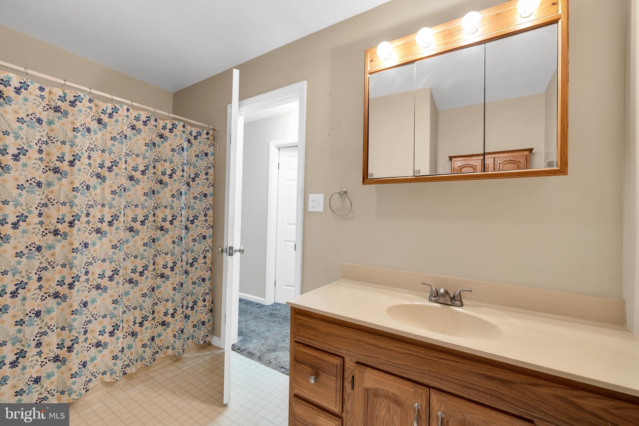 97 Bertolet Mill Road Oley, PA 19547 - Photo 24 of 35 a bathroom with a sink and a mirror