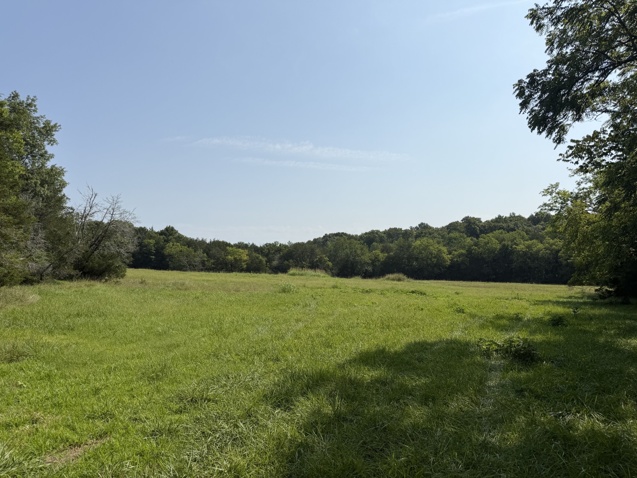0 Flat Creek Road Spring Hill, TN 37174 - Photo 4 of 26 Gallery Image 4