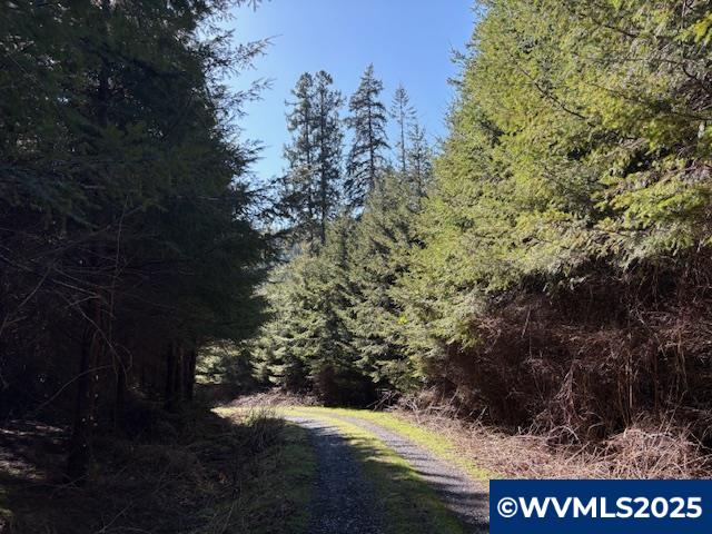 0 Steer Creek Road Blodgett, OR 97326 - Photo 2 of 14