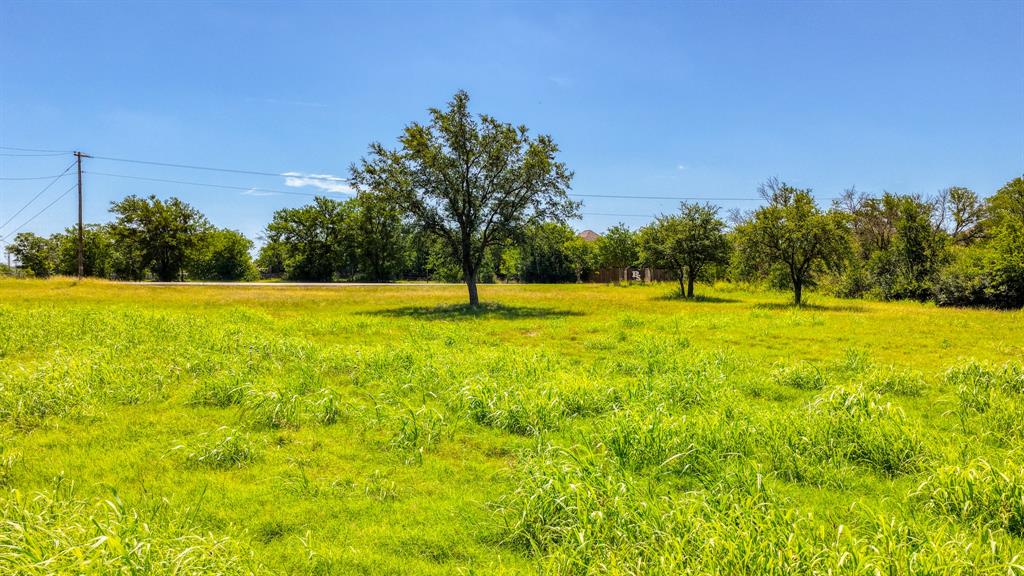 619 Old Annetta Road Aledo, TX 76008 - Photo 15 of 16