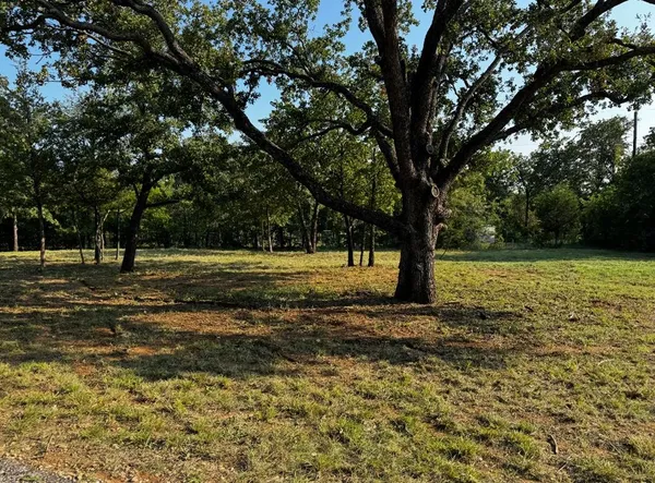 a view of dirt yard with green space