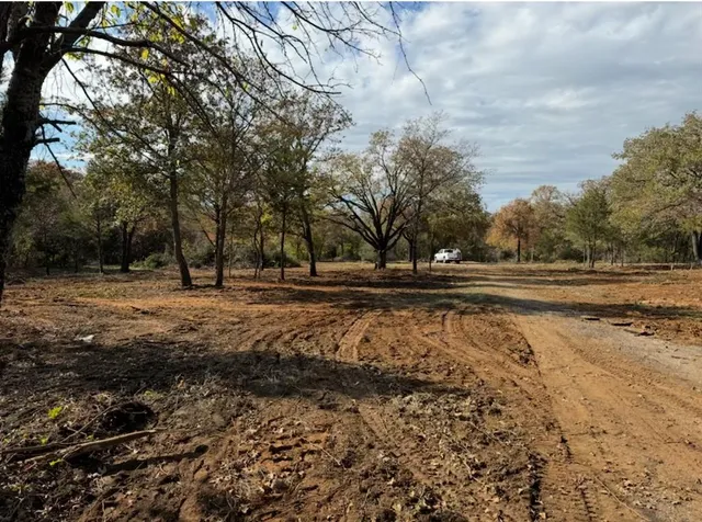 a view of a yard with trees