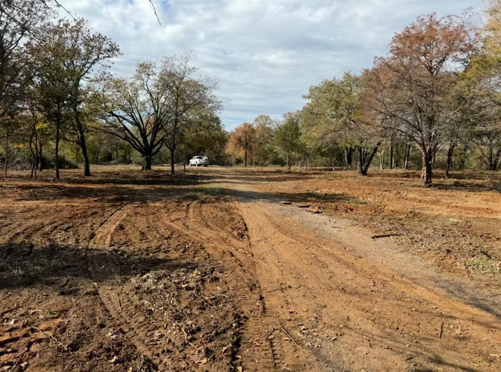 2017 Simmons Road Flower Mound, TX 75022 - Photo 9 of 11 a view of a yard with trees