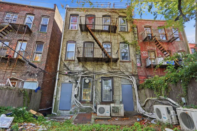a view of a backyard with plants and tree