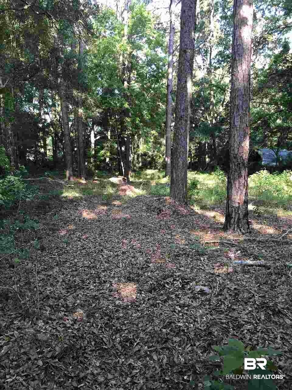 1318 East Forest Ridge Road Mobile, AL 36618 - Photo 11 of 15