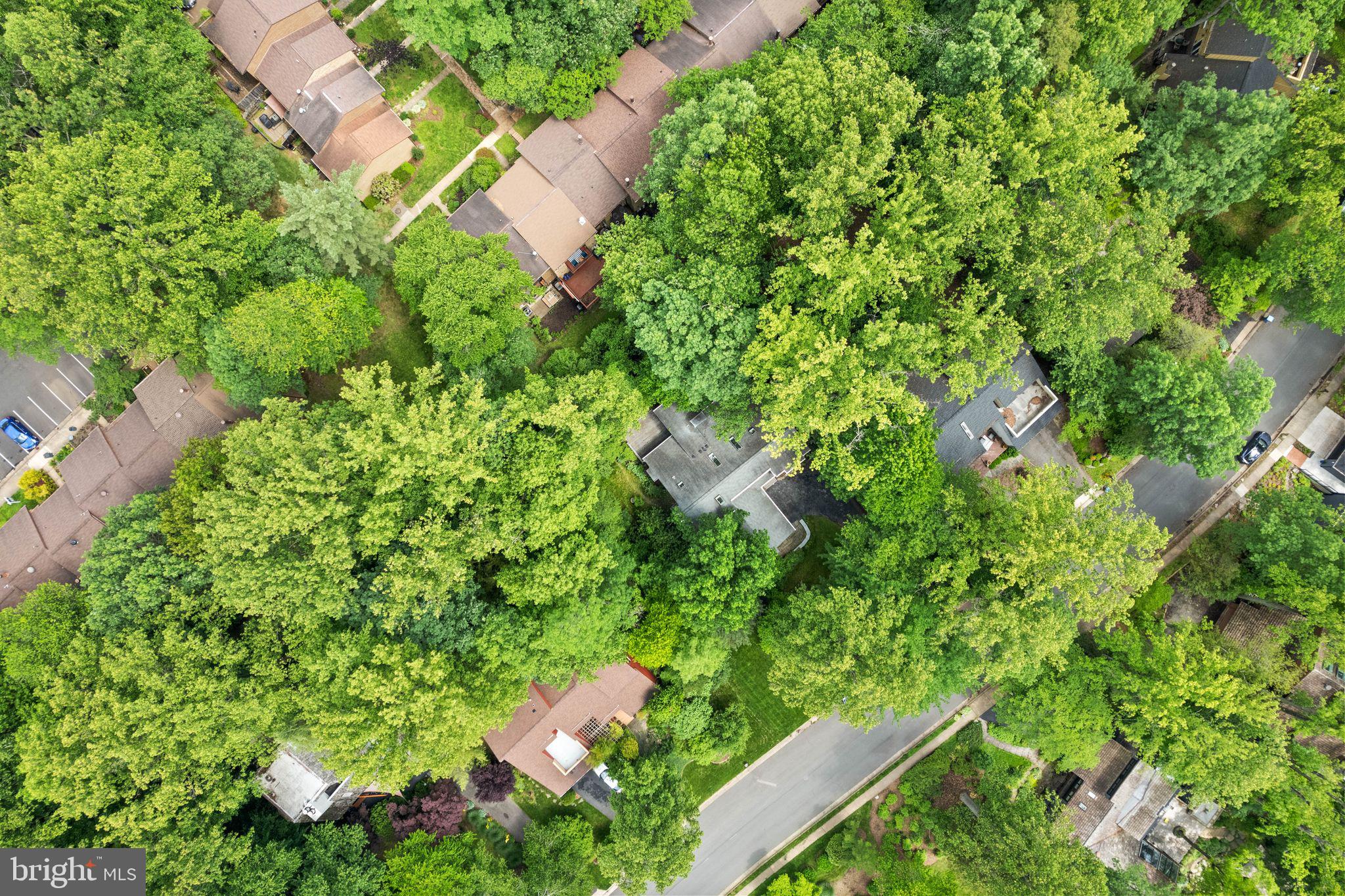 1925 Upper Lake Drive Reston, VA 20191 - Photo 64 of 88 Aerial View, tons of trees for privacy