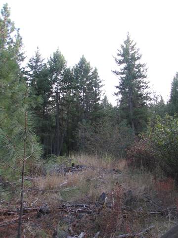 Nine Mile Falls Ford, WA 99013 - Photo 2 of 9