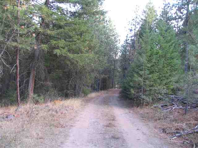 Nine Mile Falls Ford, WA 99013 - Photo 4 of 9