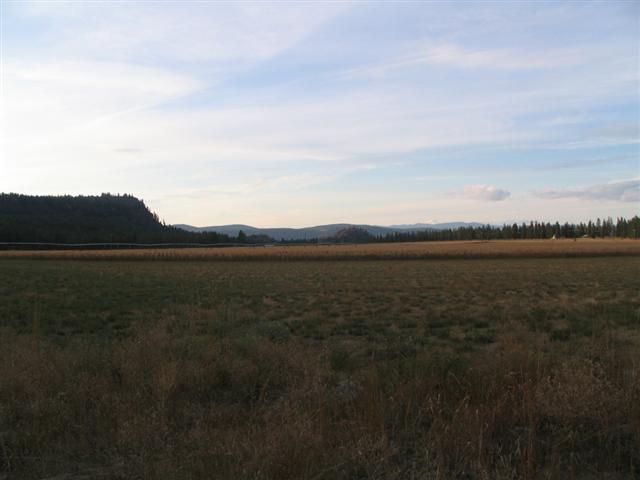Nine Mile Falls Ford, WA 99013 - Photo 5 of 9