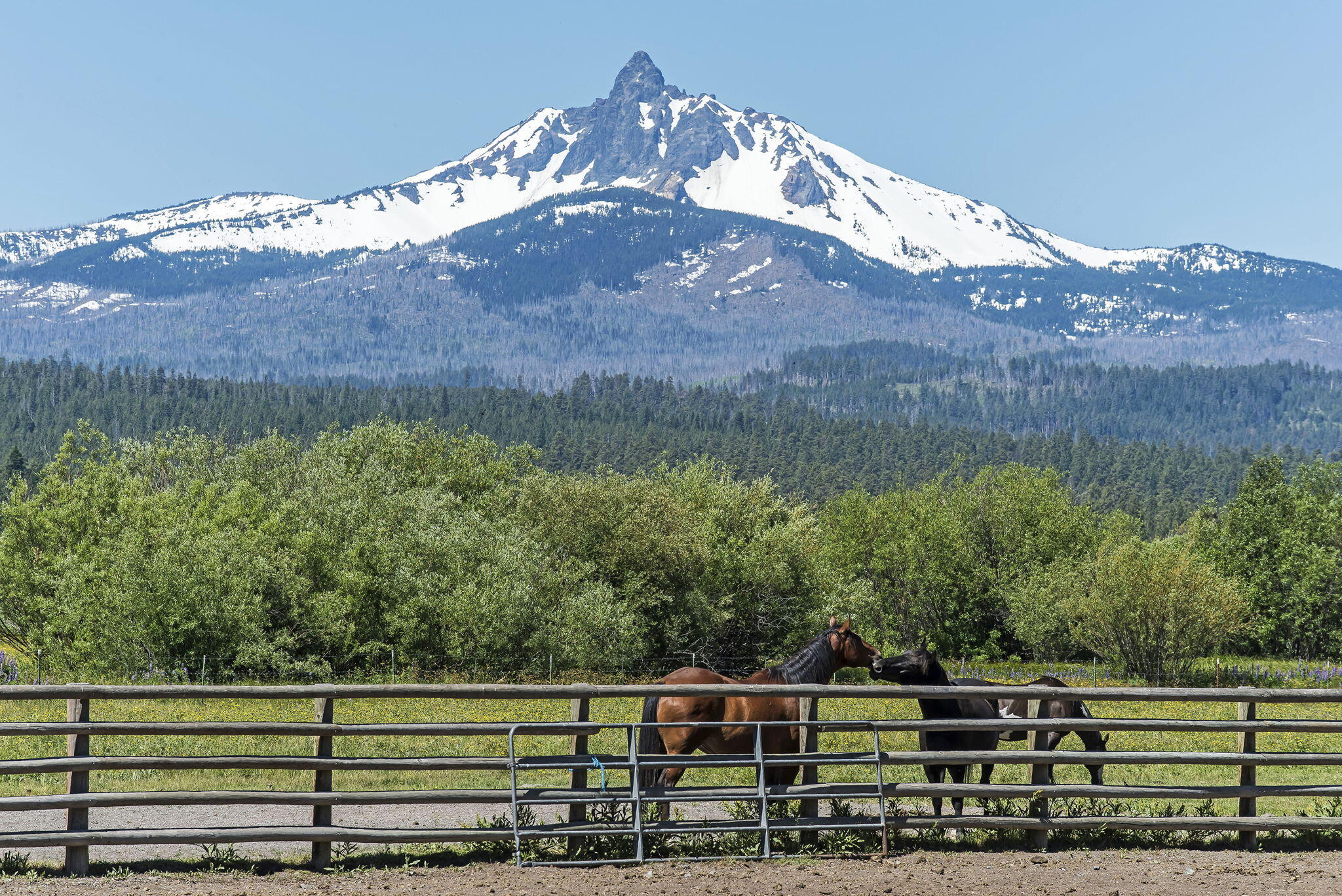 70808 Hyacinth Black Butte Ranch, OR 97759 - Photo 24 of 28 27-web-or-mls-DSC_1983