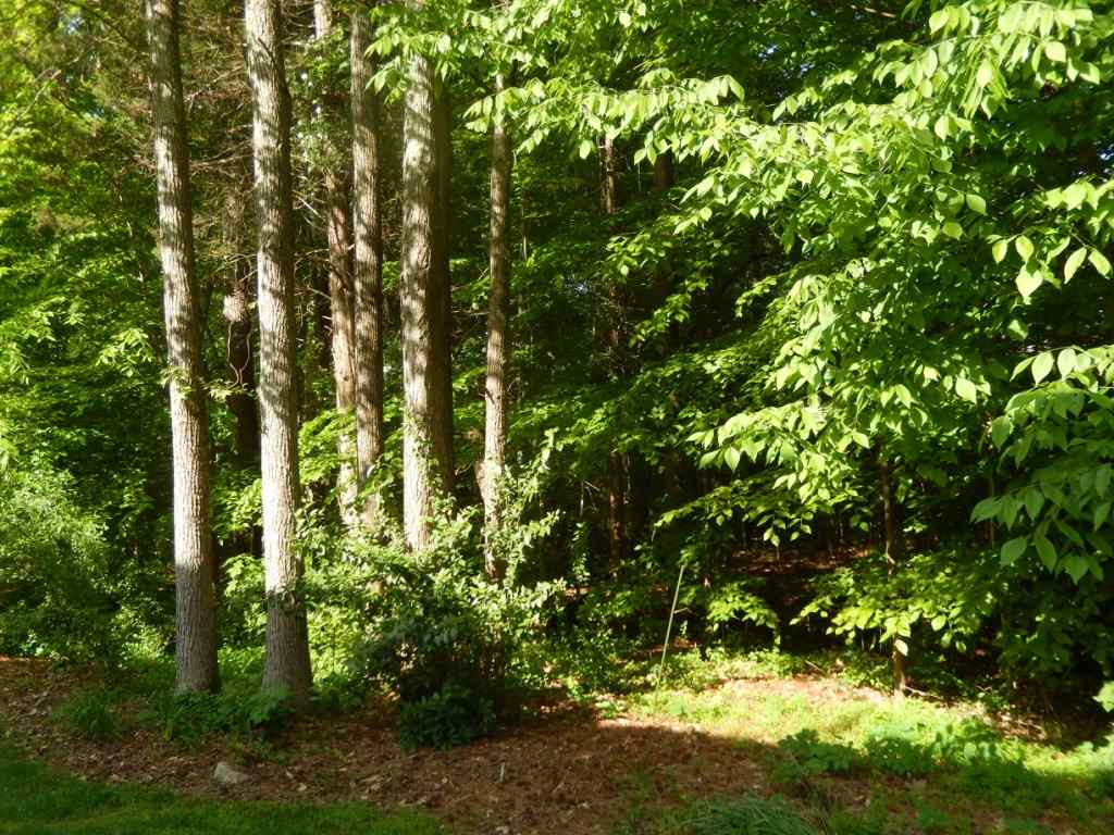 8837 Braceridge Road Raleigh, NC 27613 - Photo 25 of 25 Photo 25