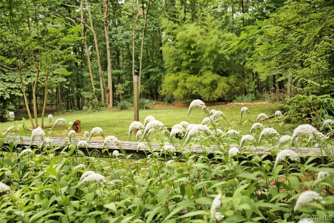 2206 Mill Road Powhatan, VA 23139 - Photo 40 of 46 Gallery Image 40