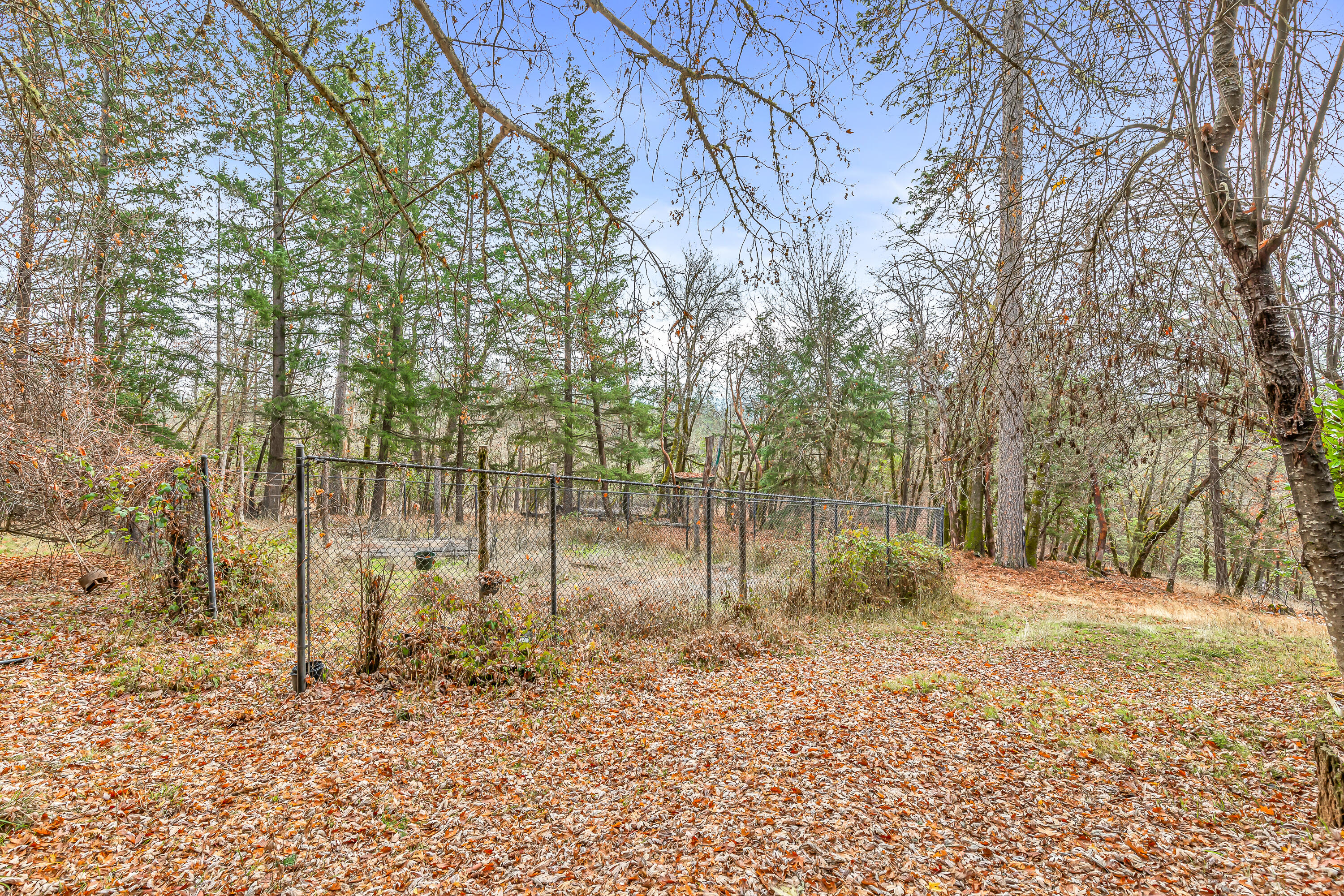2259 Hugo Road Merlin, OR 97532 - Photo 30 of 31 9R9A6983