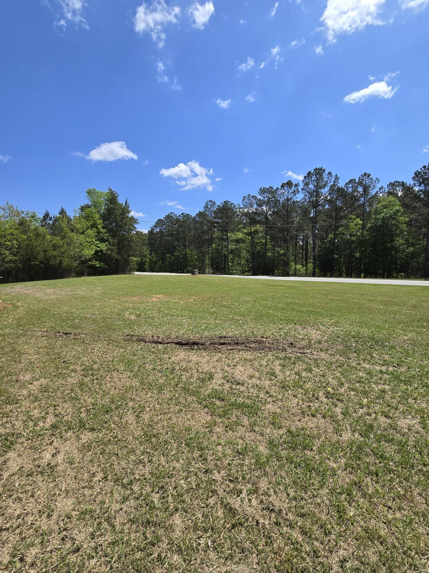 7063 Danburg Road Tignall, GA 30668 - Photo 6 of 21 20250410_125655_resized