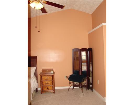 4764 Bayfield Road Allison Park, PA 15101 - Photo 14 of 18 Master Bedroom. Master Vaulted Ceiling Feature