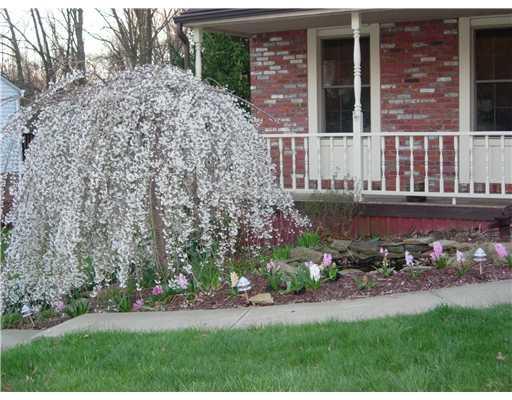 4764 Bayfield Road Allison Park, PA 15101 - Photo 3 of 18 Yard/Garden. Front Entry features pond with fountain and covered front porch