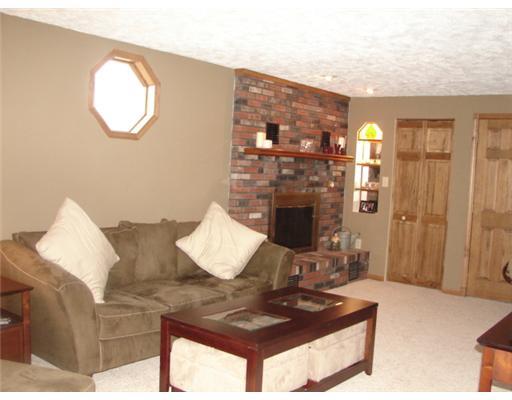 4764 Bayfield Road Allison Park, PA 15101 - Photo 8 of 18 Family Room. Family Room features storage closet, adjacent full bath, decorative lighted nook and gas fireplace