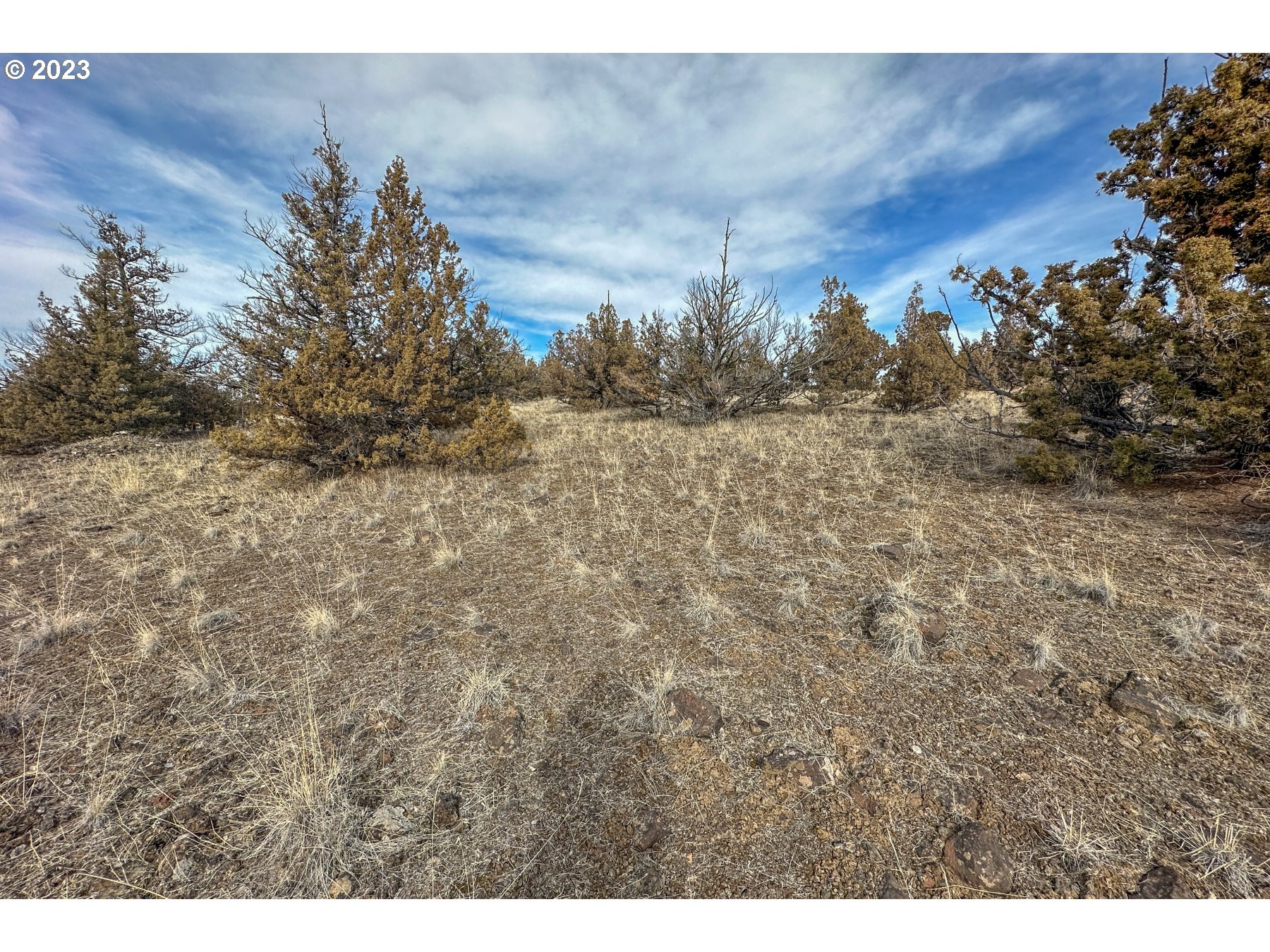 12229 Southeast Rowan Court, Unit 4 Prineville, OR 97754 - Photo 9 of 13