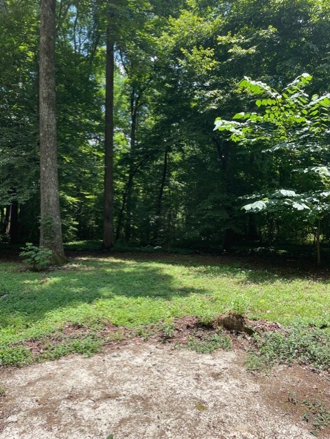 3971 Clanton Road Lawrenceburg, TN 38464 - Photo 8 of 26
