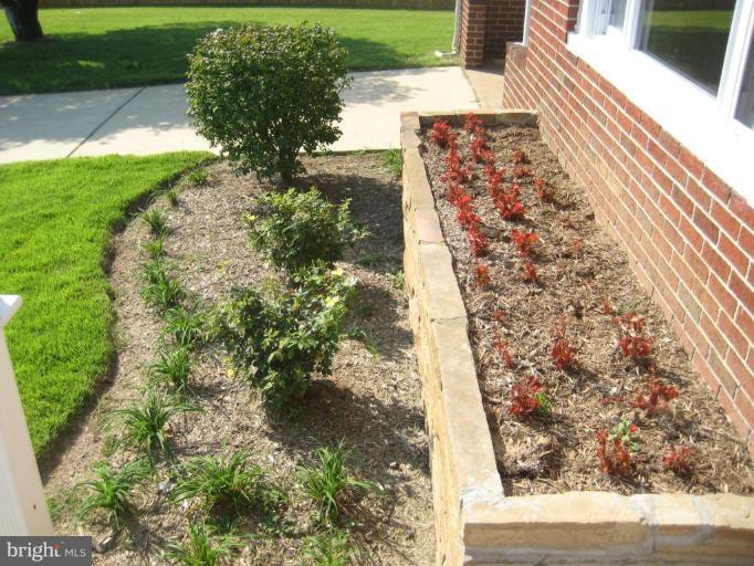 713 East Maple Road Linthicum Heights, MD 21090 - Photo 8 of 13 Garden