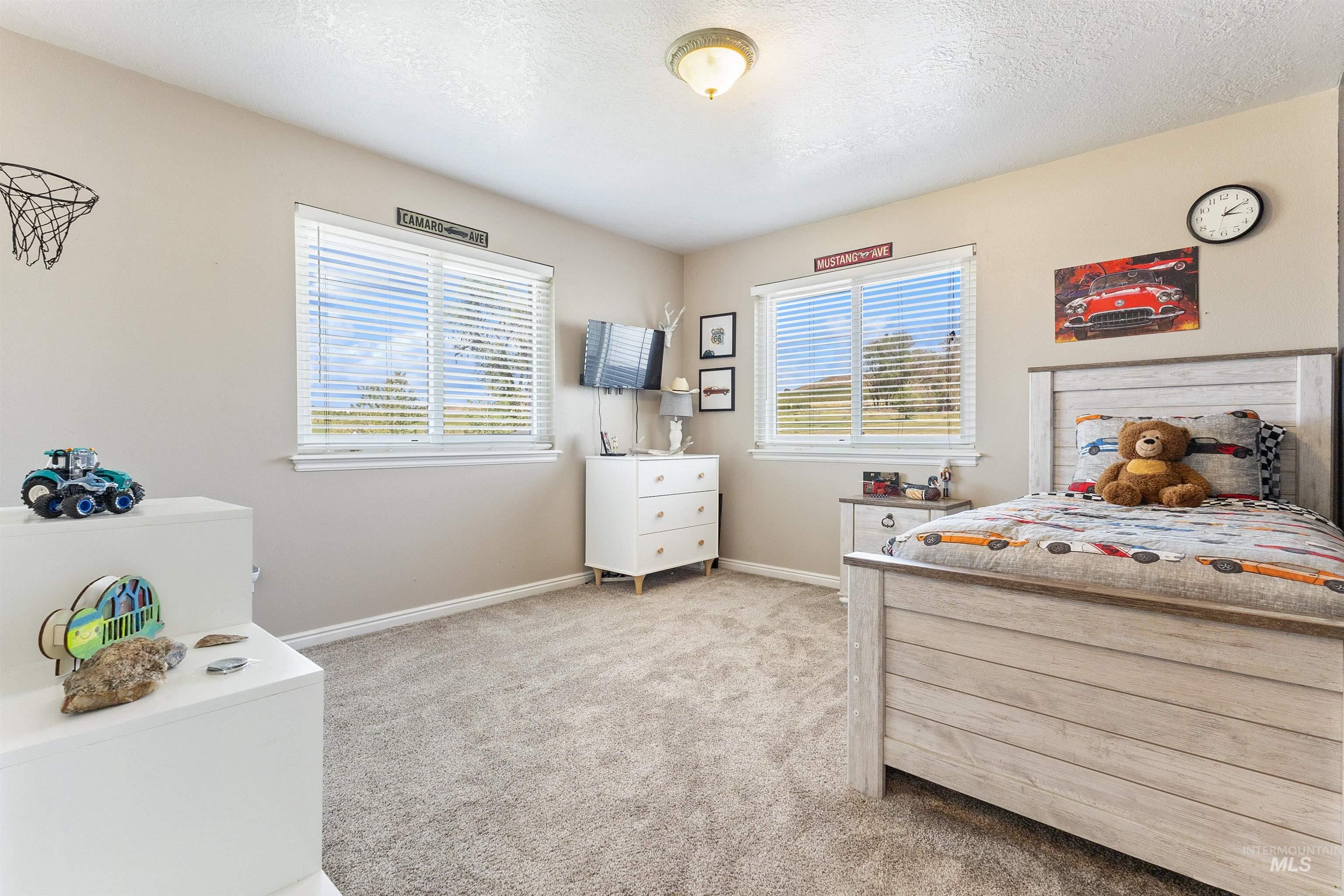 19876 Scotts Lane Caldwell, ID 83607 - Photo 40 of 44 Carpeted room with two windows featuring horizontal blinds, a ceiling-mounted light fixture, and neutral-toned walls