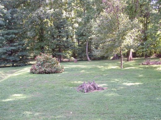 333 Wardley Road Knoxville, TN 37934 - Photo 13 of 16 Additional Photo