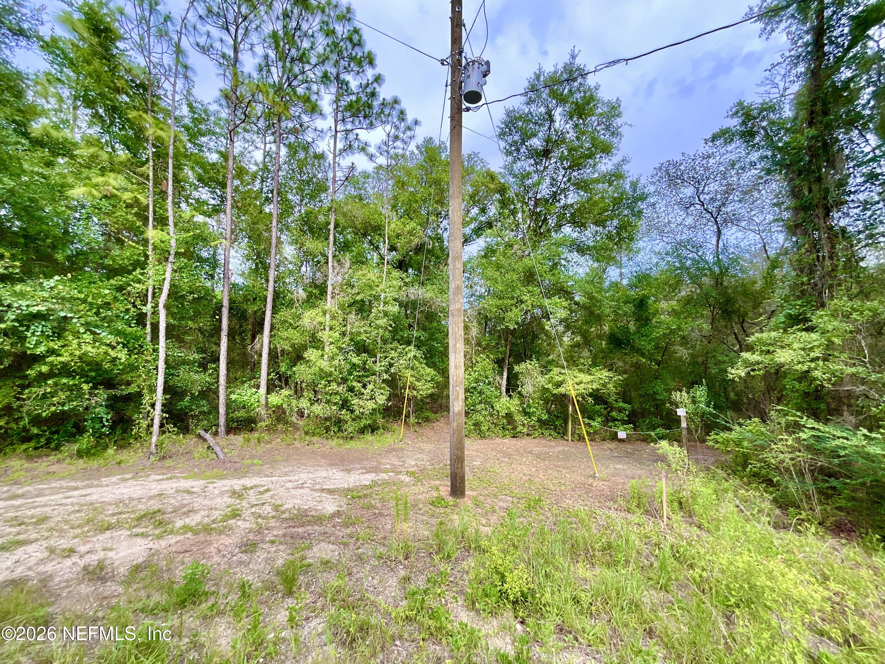 0 Silver Dollar Pond Road Hawthorne, FL 32640 - Photo 13 of 40 IMG_9066