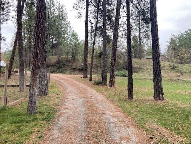 1345 Boise Road Kettle Falls, WA 99141 - Photo 42 of 50