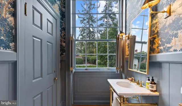 a view of a garden with plants and large trees