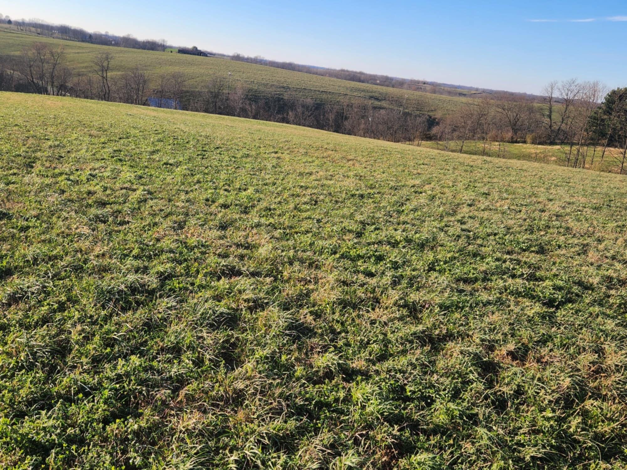 7370 Energy Road Ewing, KY 41039 - Photo 29 of 53 att.nU-Ttvv9-Ai5PGOG93vhDNxhGeQefkJ-xr0s