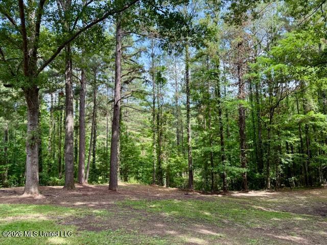 55 Scheffel Road Natchez, MS 39120 - Photo 6 of 29 55 Scheffel Pic 6