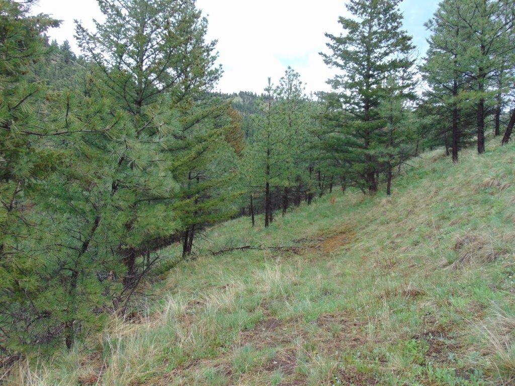 Tbd Shady Spring Lane Cascade, MT 59421 - Photo 38 of 78 Gallery Image 38