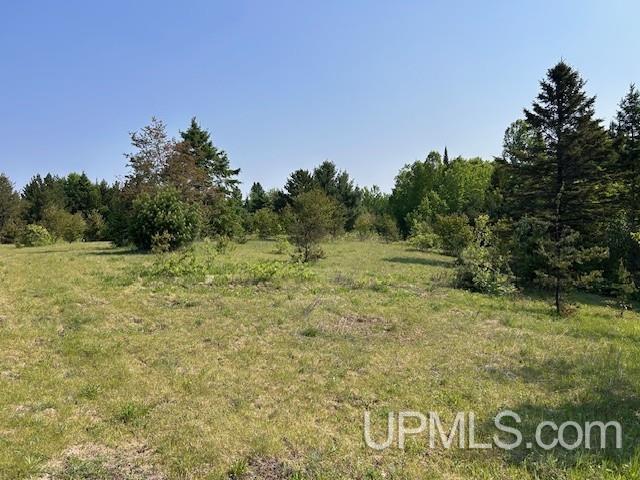 13408 West Jackola ( Road Atlantic Mine, MI 49905 - Photo 7 of 21
