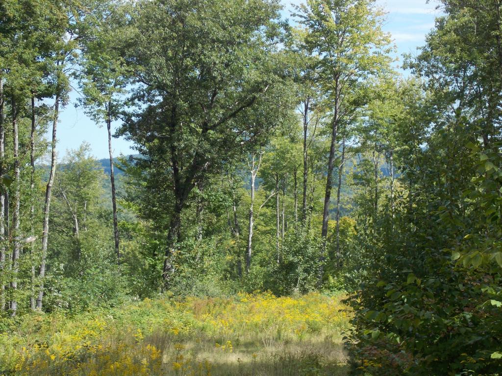 2 Allard Hill Road Conway, NH 03818 - Photo 2 of 9