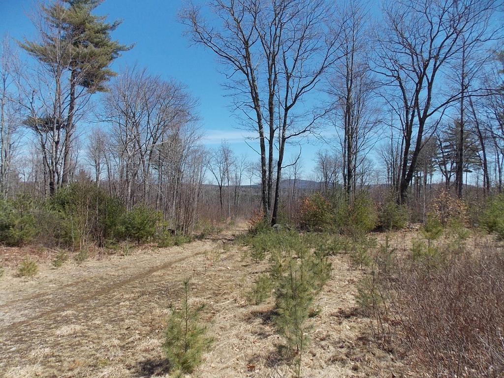 2 Allard Hill Road Conway, NH 03818 - Photo 4 of 9