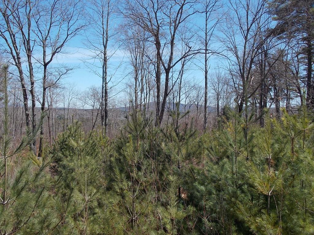 2 Allard Hill Road Conway, NH 03818 - Photo 5 of 9