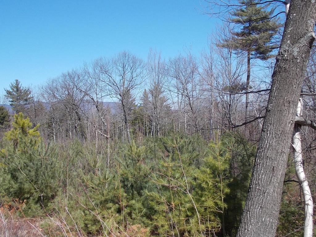 2 Allard Hill Road Conway, NH 03818 - Photo 7 of 9