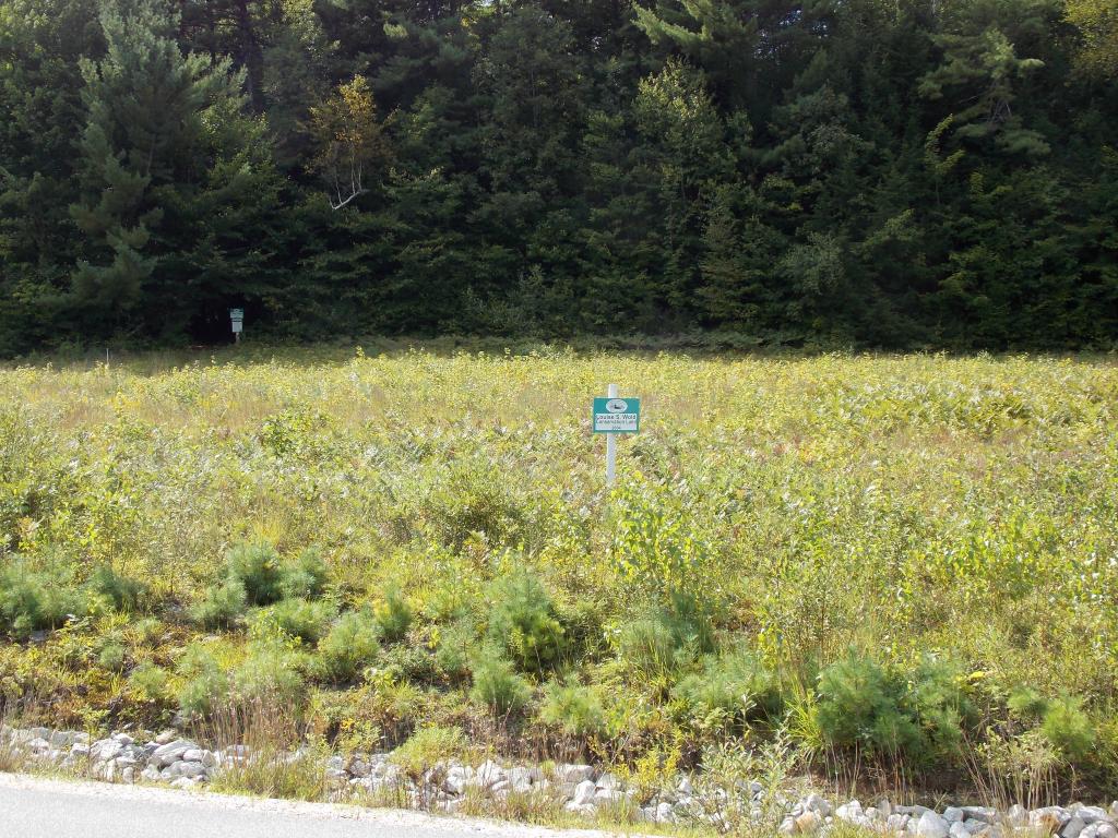 2 Allard Hill Road Conway, NH 03818 - Photo 9 of 9