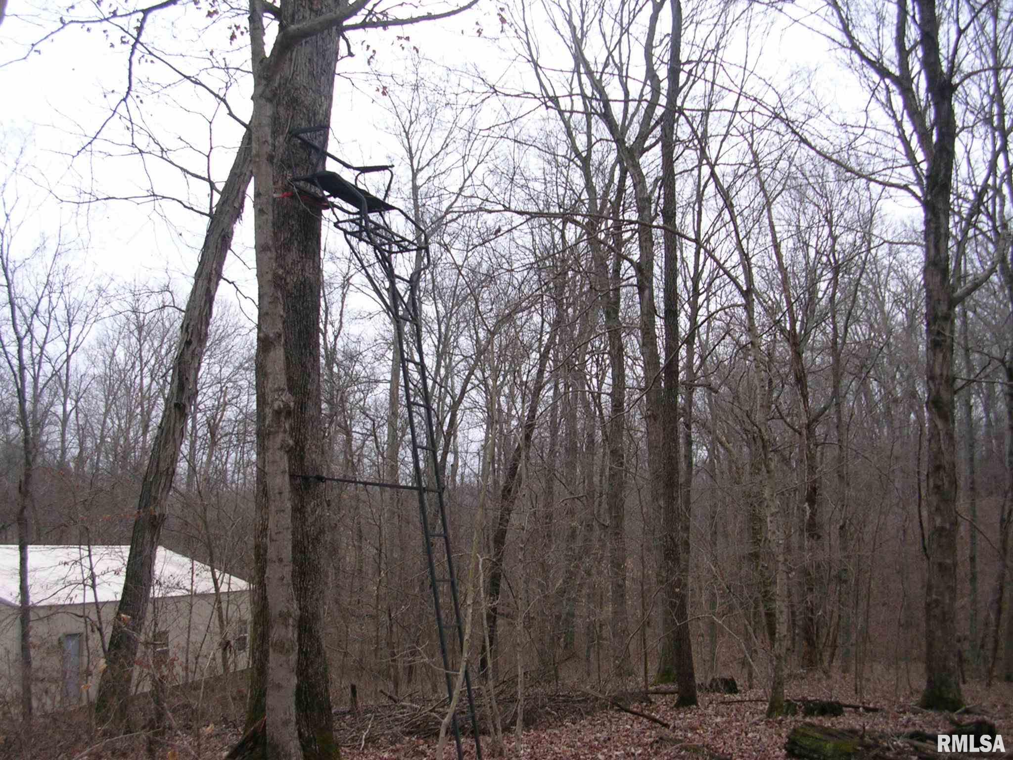 522 Belville Road Ozark, IL 62972 - Photo 7 of 17