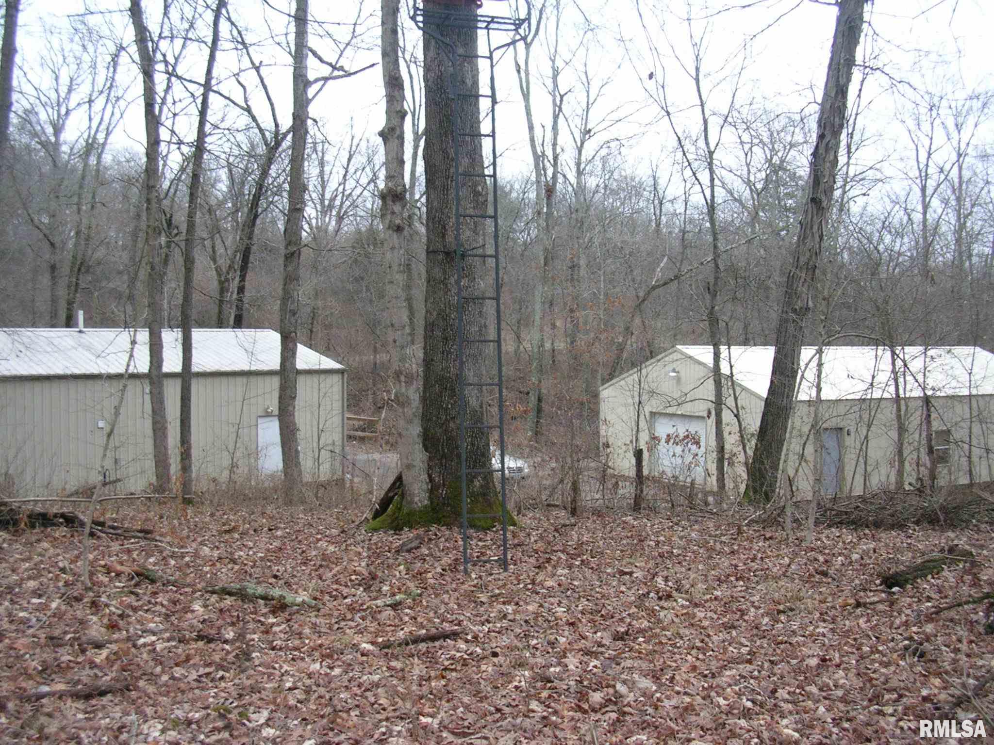 522 Belville Road Ozark, IL 62972 - Photo 8 of 17