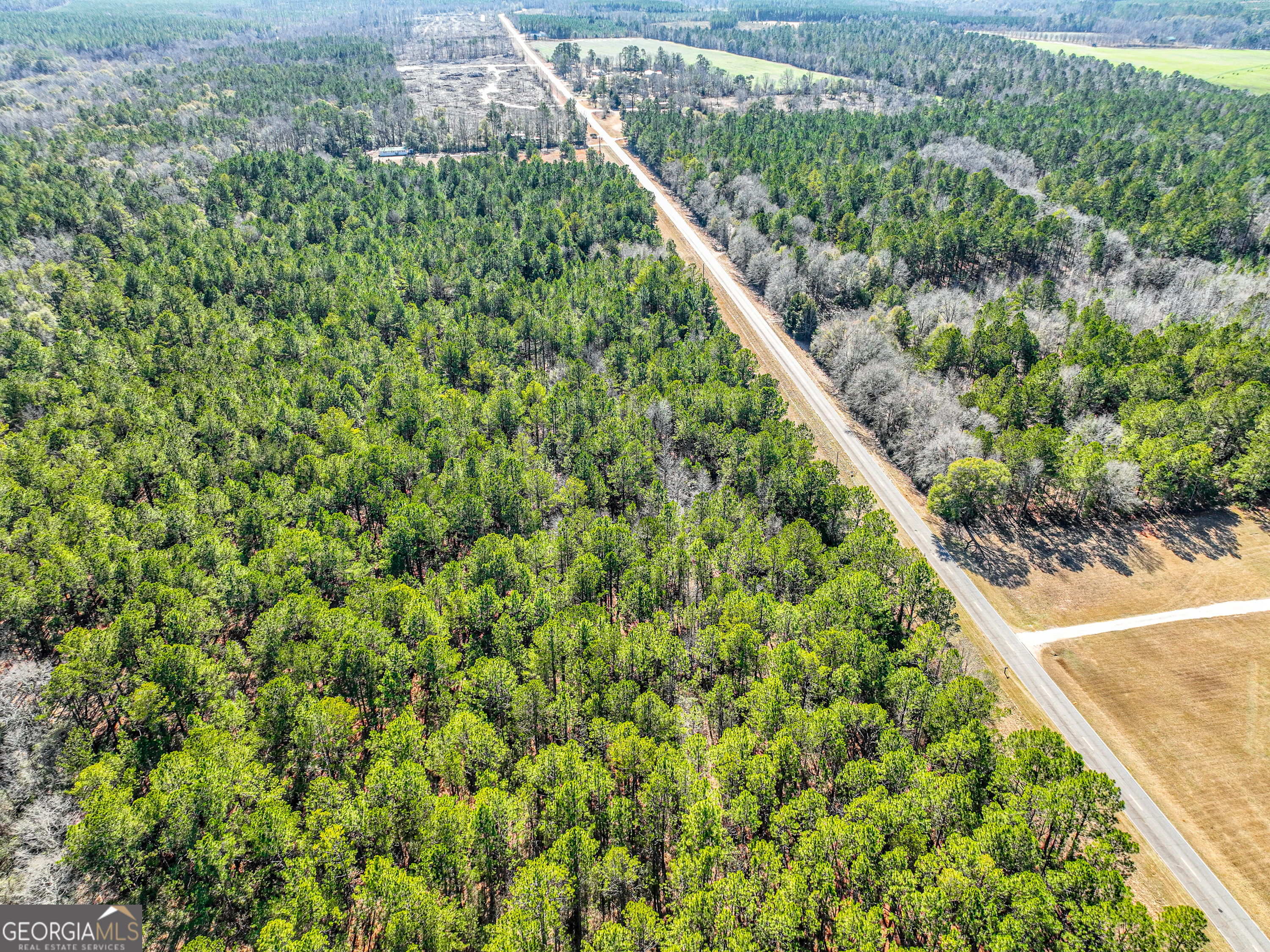 0 Buckeye Road Tennille, GA 31089 - Photo 3 of 13