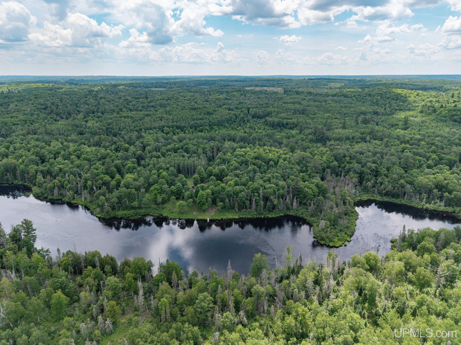 14132 River Road Republic, MI 49879 - Photo 91 of 93